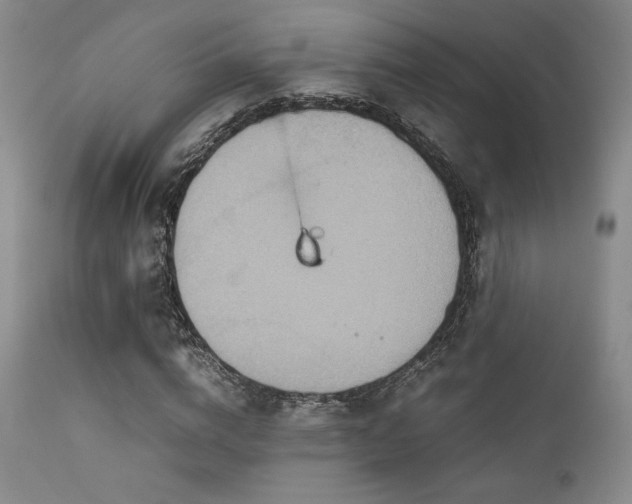 X0000111900824200907271155