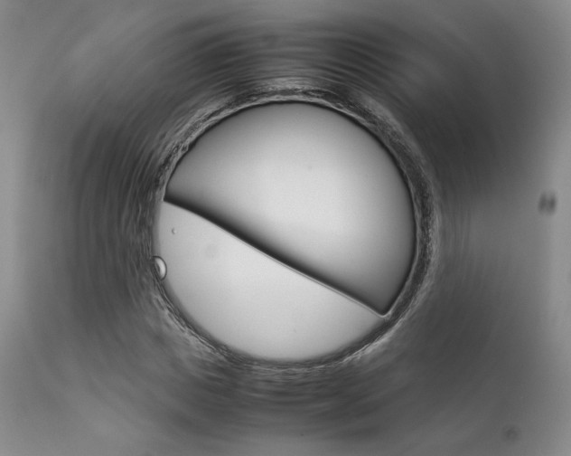 X0000111900825200907271155