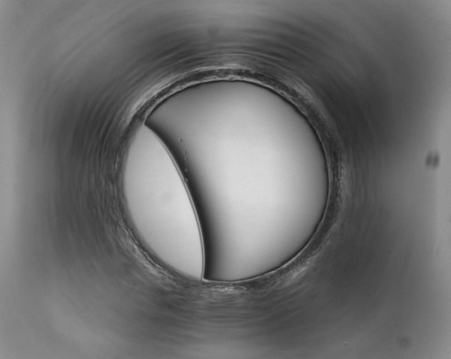 X0000111900826200907271155