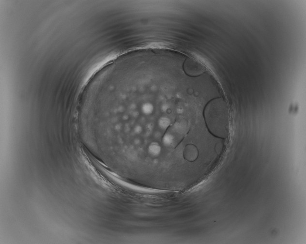 X0000111900827200907271155