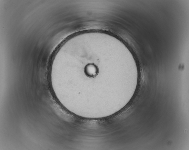 X0000111900828200907271155