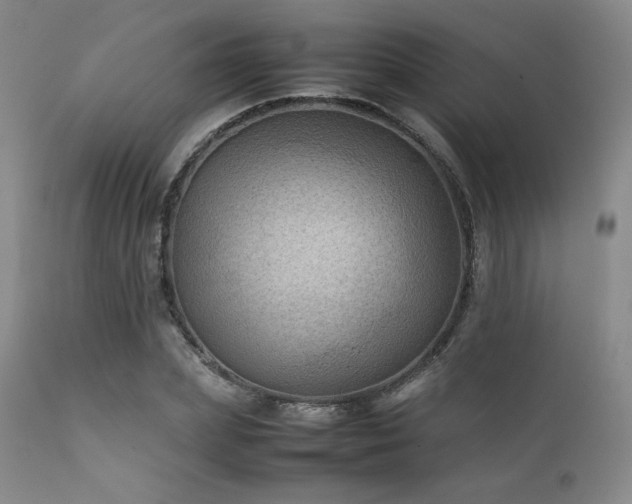 X0000111900831200907271156