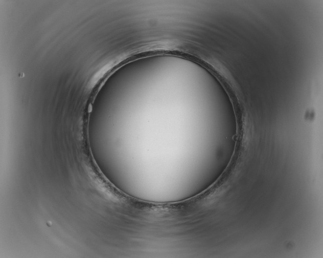 X0000111900834200907271156