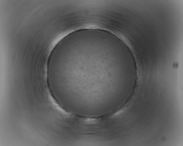 X0000111900839200907271156