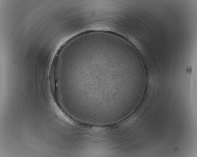 X0000111900840200907271156