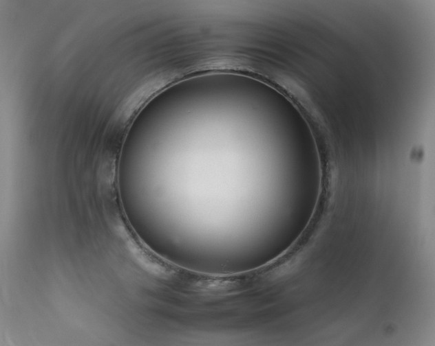 X0000111900841200907271156