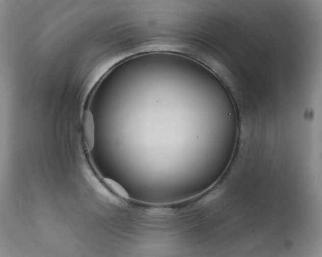 X0000111900844200907271156