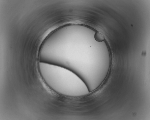 X0000111900845200907271156