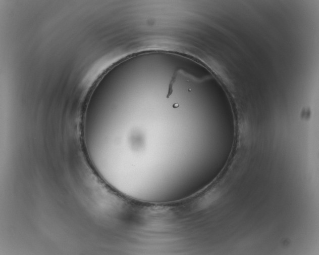 X0000111900846200907271156