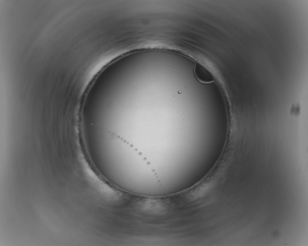 X0000111900847200907271156