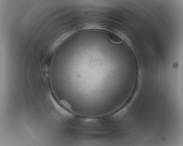 X0000111900849200907271156