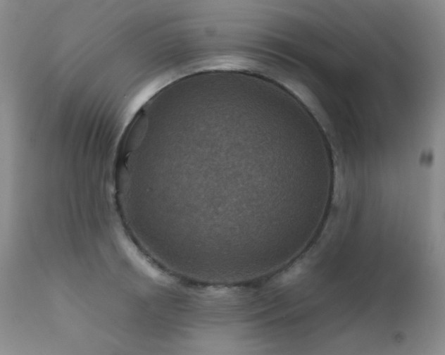 X0000111900850200907271156