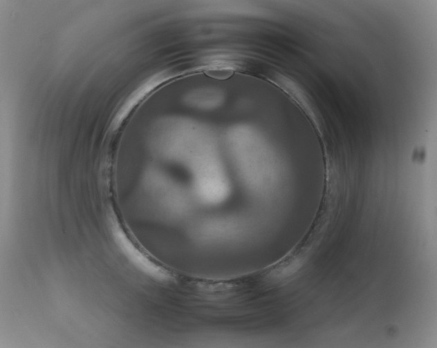 X0000111900851200907271156