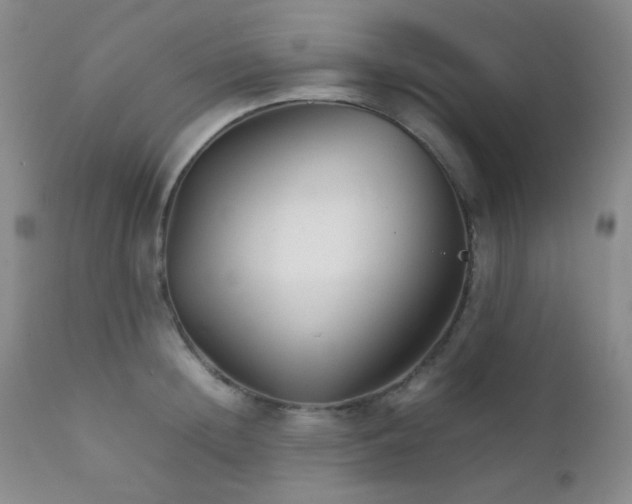 X0000111900852200907271156