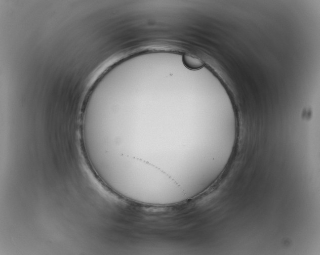 X0000111900853200907271156