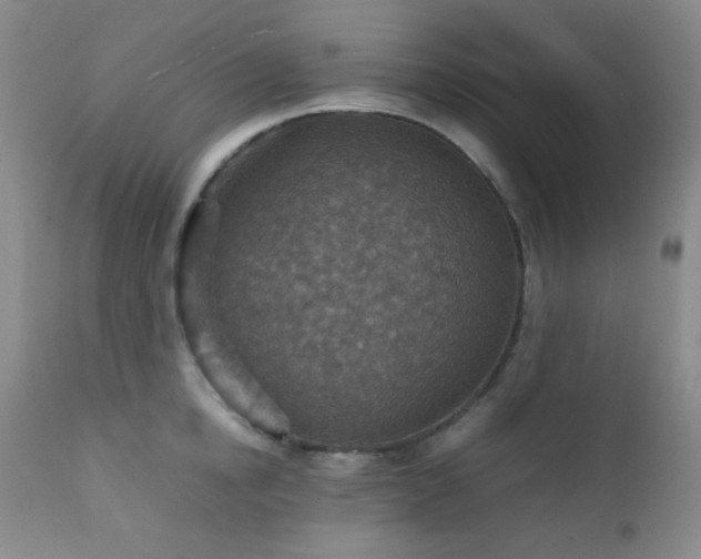 X0000111900854200907271156