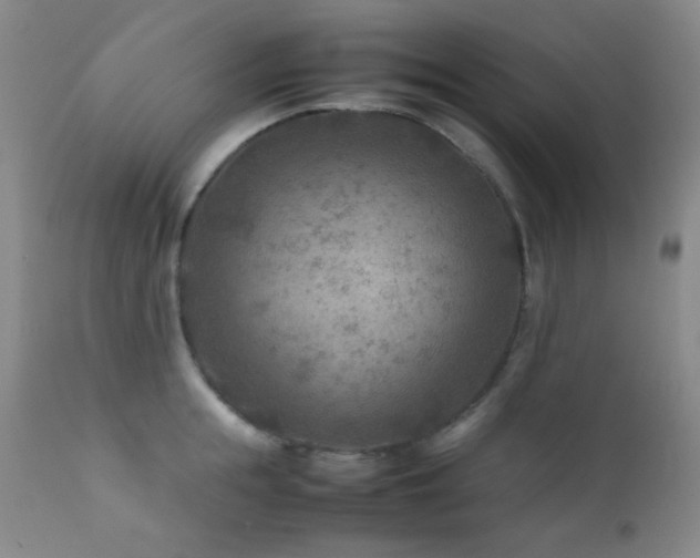 X0000111900855200907271156