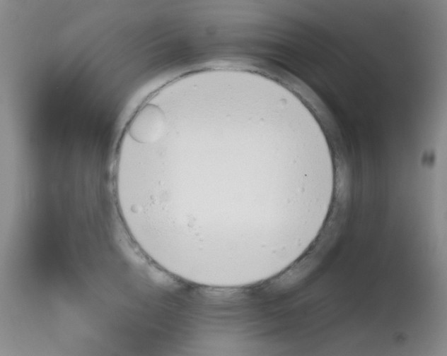 X0000111900856200907271156