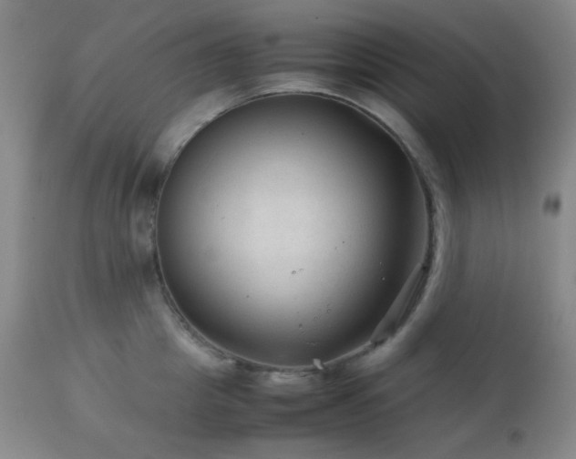 X0000111900857200907271156