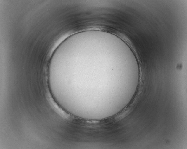 X0000111900859200907271156