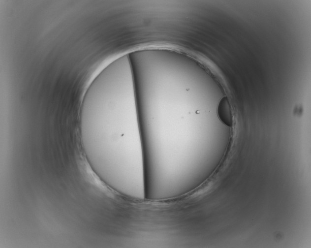 X0000111900860200907271156