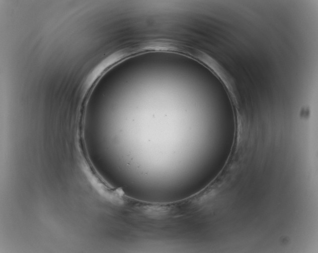 X0000111900861200907271156