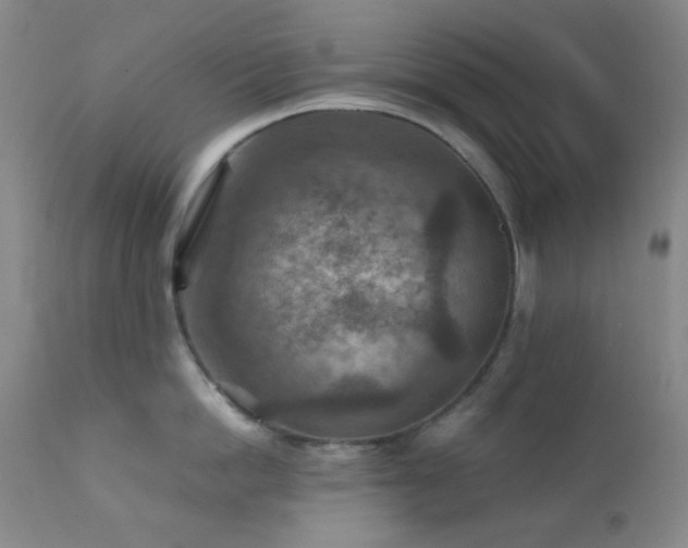 X0000111900862200907271156