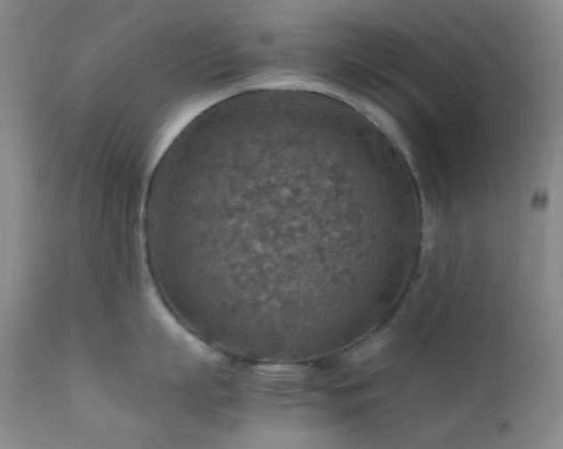 X0000111900863200907271156