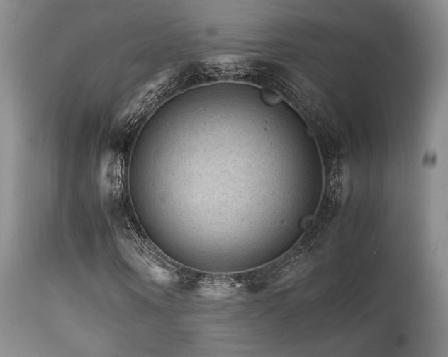 X0000111900866200907271155