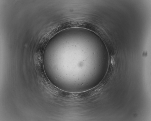 X0000111900867200907271155