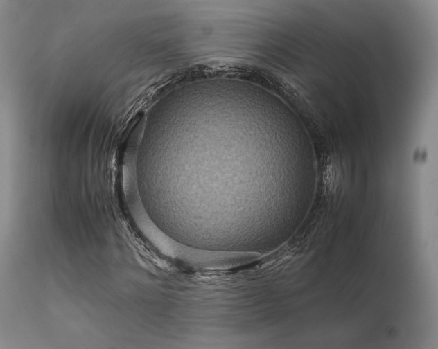 X0000111900868200907271155