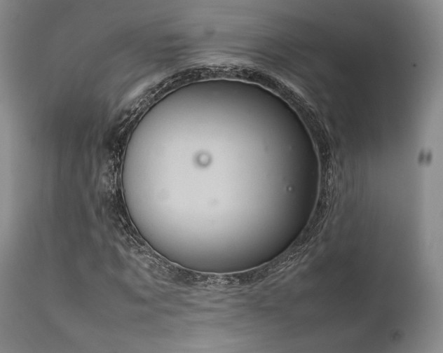 X0000111900869200907271155