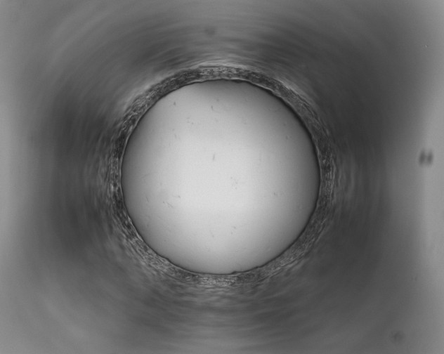 X0000111900870200907271155