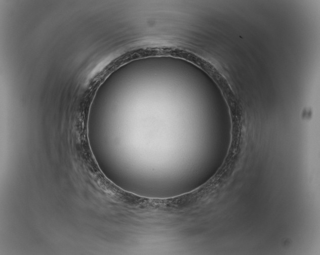 X0000111900871200907271155