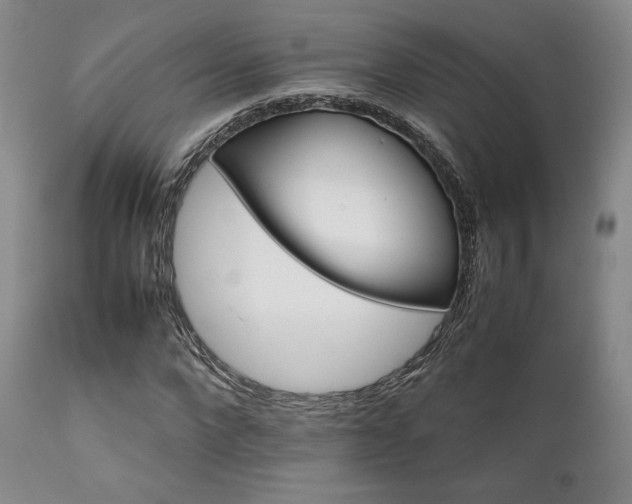 X0000111900872200907271155