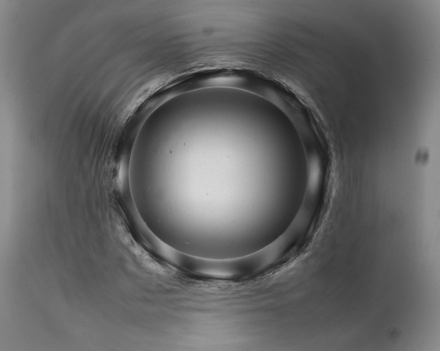 X0000111900873200907271155