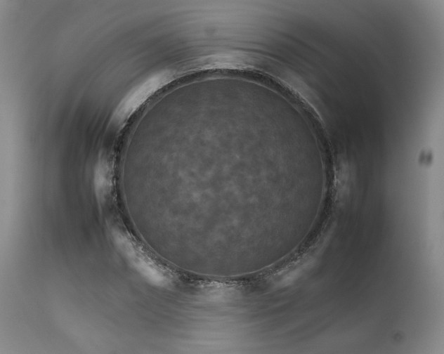 X0000111900874200907271155