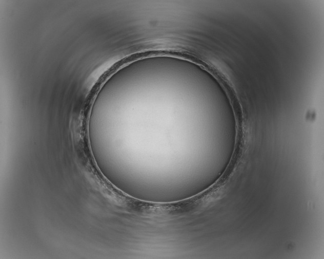 X0000111900875200907271155