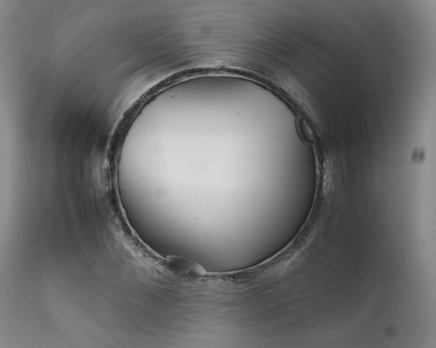 X0000111900876200907271155