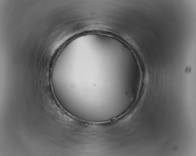 X0000111900877200907271155