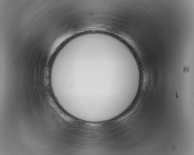 X0000111900878200907271155