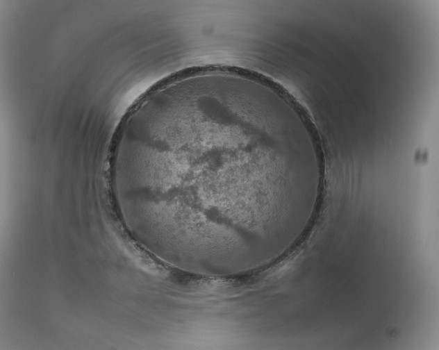 X0000111900879200907271155