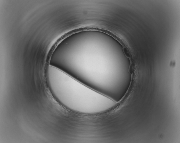 X0000111900880200907271155