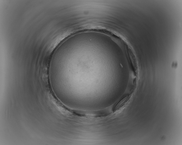 X0000111900881200907271155