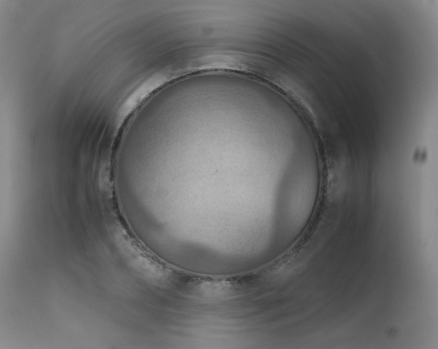 X0000111900882200907271155