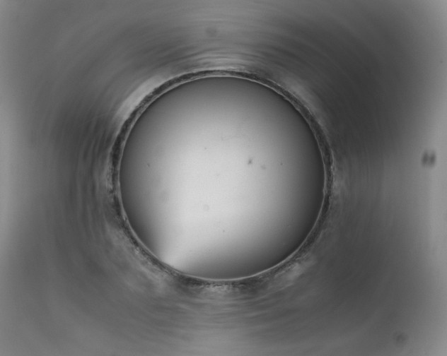 X0000111900883200907271155