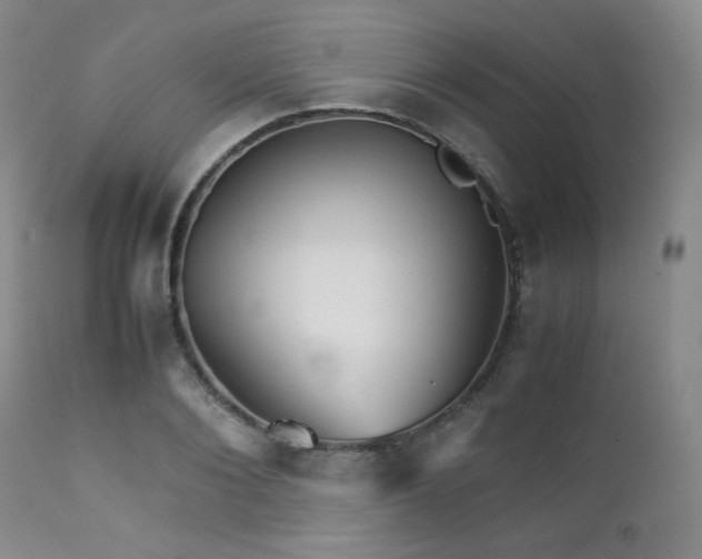 X0000111900884200907271155