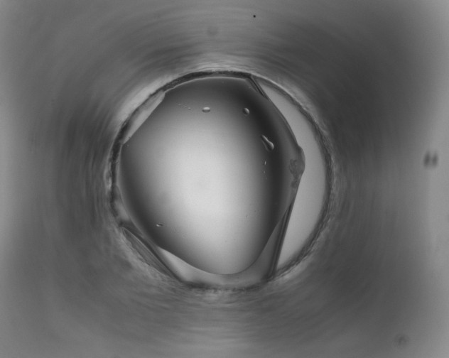 X0000111900885200907271155