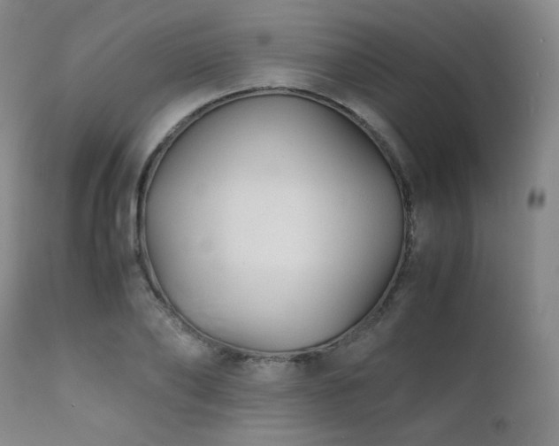 X0000111900886200907271155