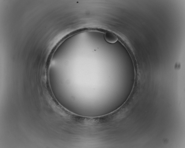 X0000111900887200907271155